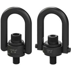 Hoist Rings