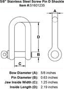 Stainless Steel Screw Pin D Shackle