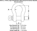 Type 316 Stainless Steel Screw Pin Anchor Shackle