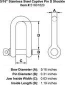 Stainless Steel Captive Pin D Shackle