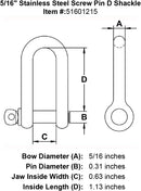 Stainless Steel Screw Pin D Shackle