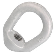 #Size_1/4" Thickness (1/4"-20 UNC Tap)