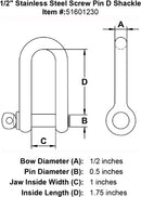 Stainless Steel Screw Pin D Shackle