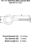 Stainless Lag Eye Bolts