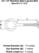 Stainless Lag Eye Bolts