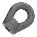 Chicago Hardware Self Colored Heavy Duty Eye Nuts