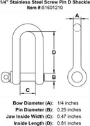 Stainless Steel Screw Pin D Shackle