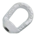 Chicago Hardware Drop Forged Hot Dip Galvanized Eye Nuts