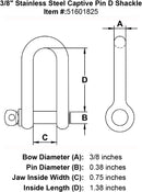 Stainless Steel Captive Pin D Shackle