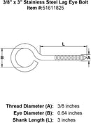 Stainless Lag Eye Bolts