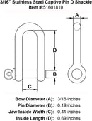 Stainless Steel Captive Pin D Shackle